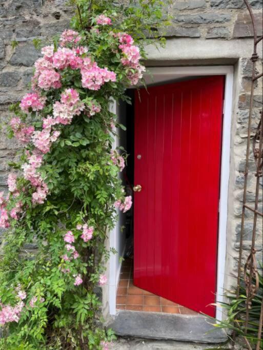 Characterful 3 Bedroom Aberystwyth